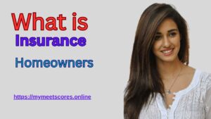 What is Homeowners Insurance