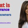 What is Homeowners Insurance